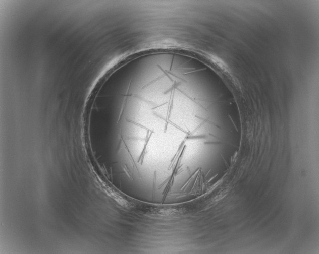 X0000060561326200511171555