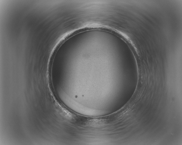 X0000060561327200511171555