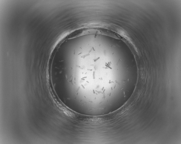 X0000060561328200511171555