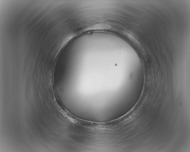 X0000060561329200511171555