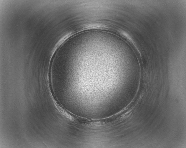 X0000060561330200511171555