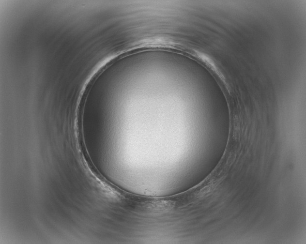 X0000060561331200511171555