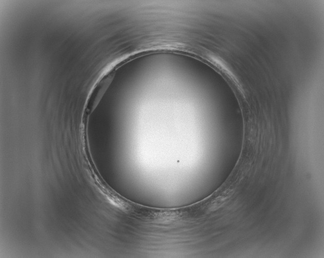 X0000060561332200511171555