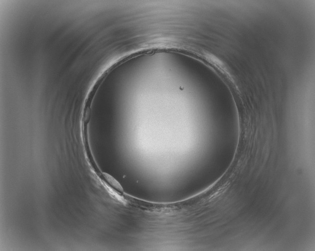 X0000060561334200511171555