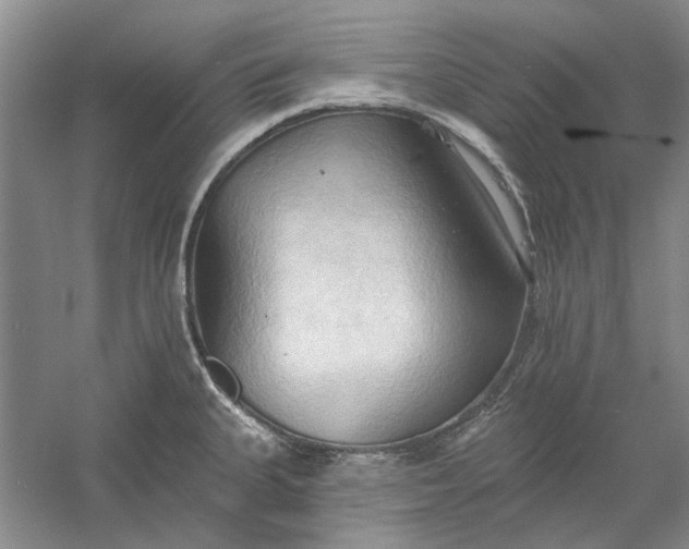 X0000060561335200511171555