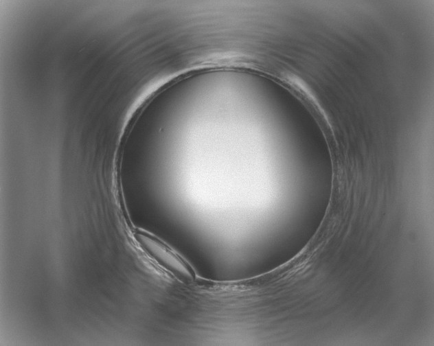 X0000060561336200511171555