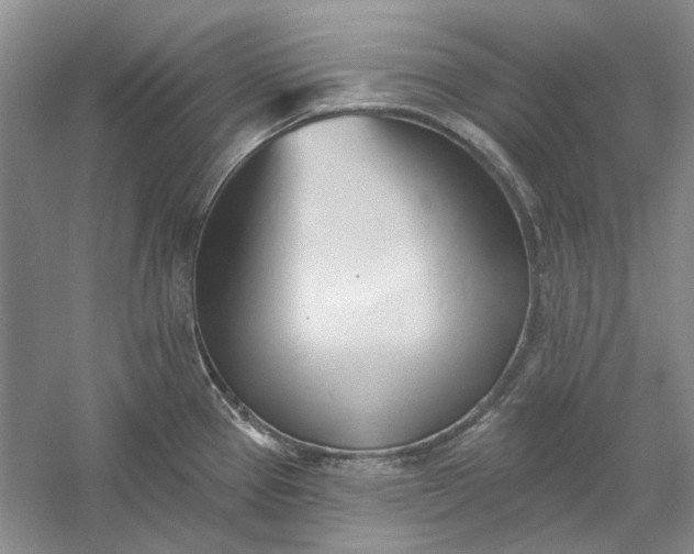 X0000060561337200511171555