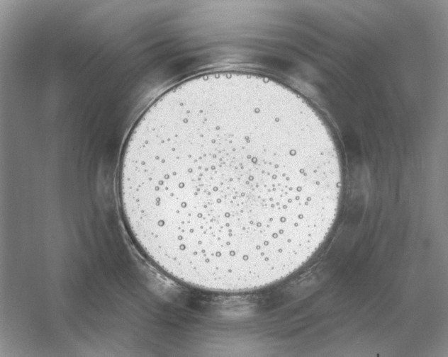 X0000060561338200511171555