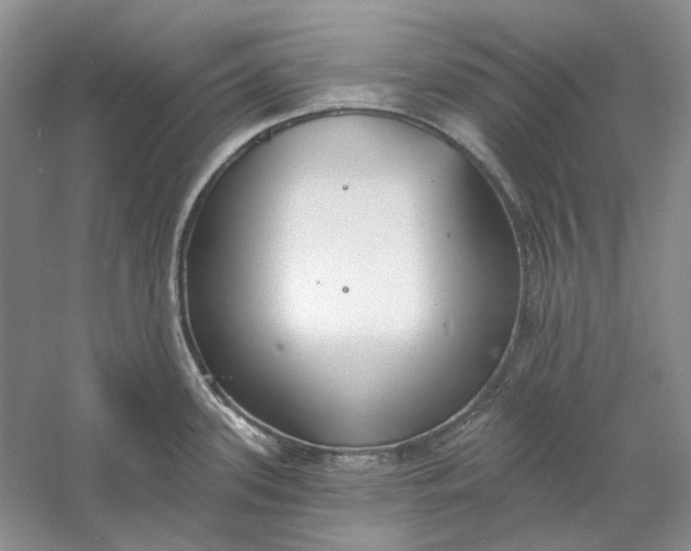 X0000060561339200511171555