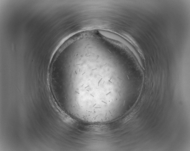 X0000060561340200511171555