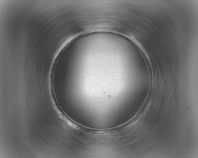 X0000060561341200511171555