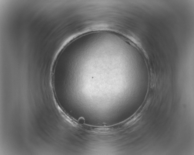 X0000060561342200511171555