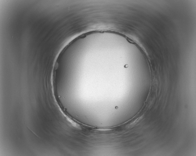 X0000060561343200511171555