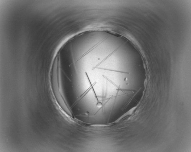 X0000060561344200511171555