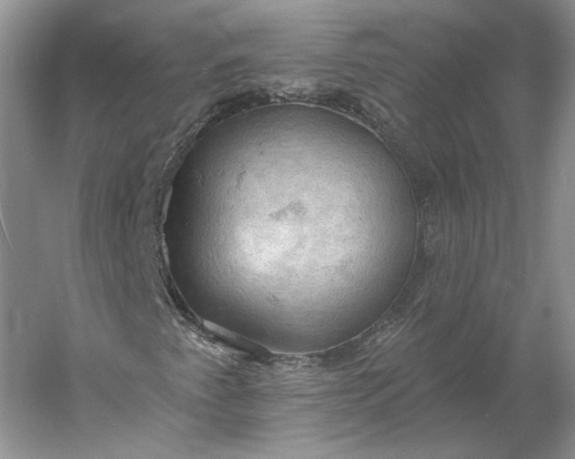 X0000060561345200511171554