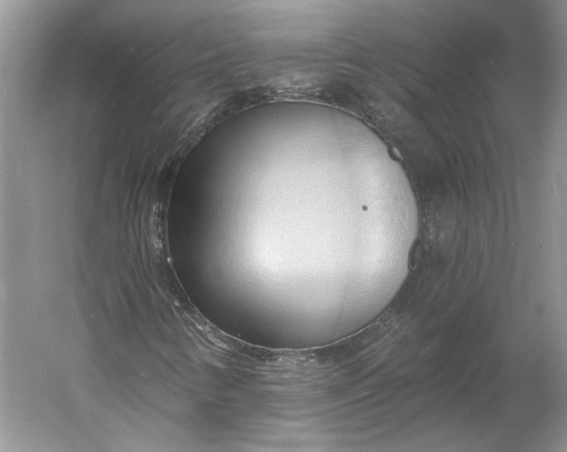 X0000060561346200511171554