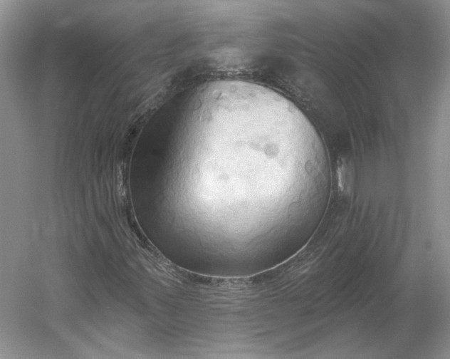 X0000060561347200511171554