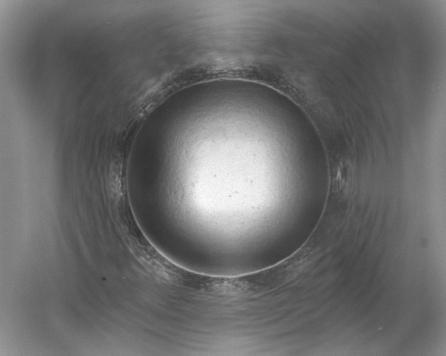 X0000060561348200511171554