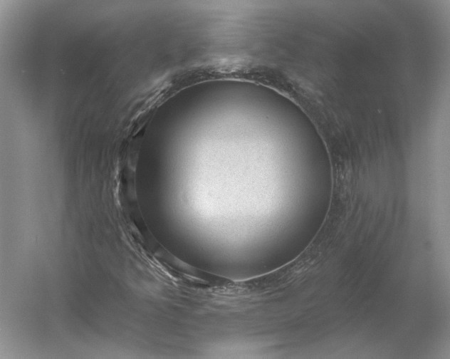 X0000060561349200511171554