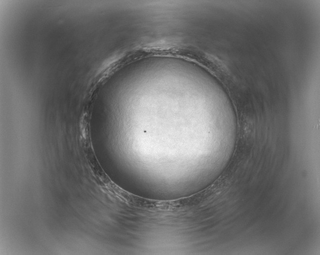 X0000060561350200511171554