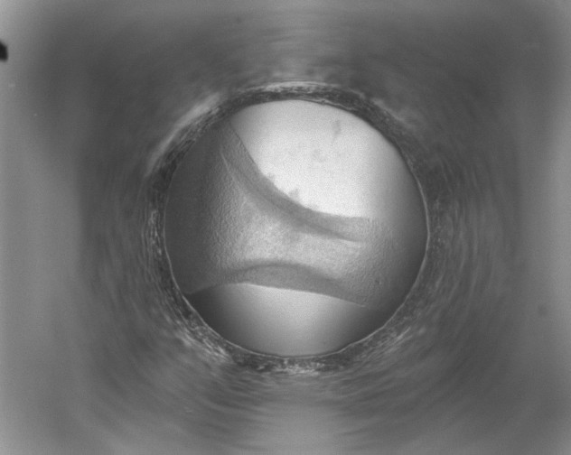 X0000060561351200511171554