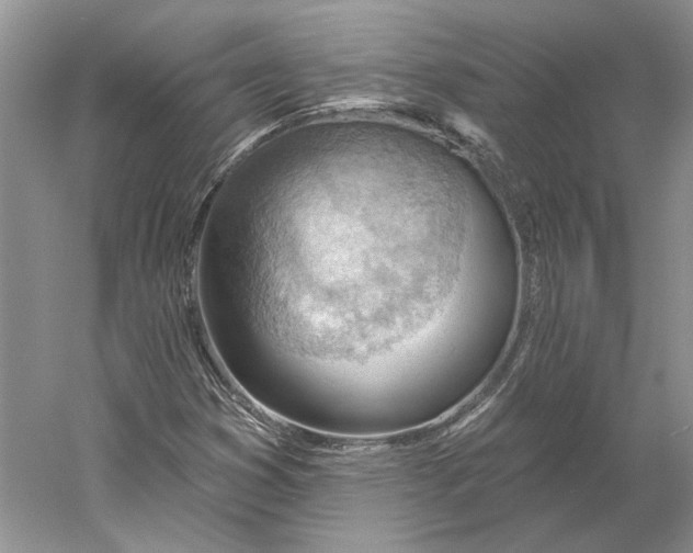 X0000060561353200511171554