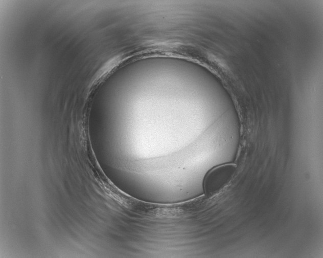 X0000060561354200511171554