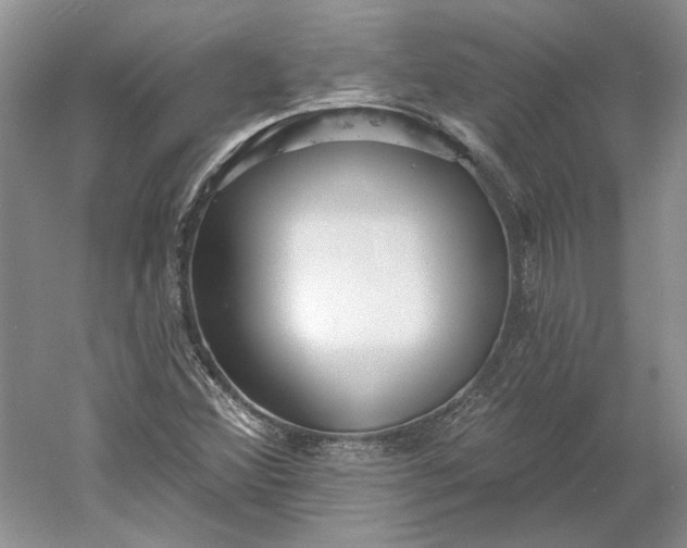 X0000060561356200511171554