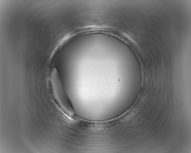 X0000060561357200511171554