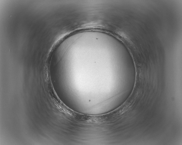 X0000060561358200511171554