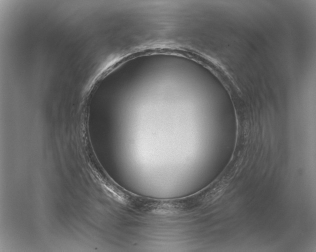 X0000060561359200511171554