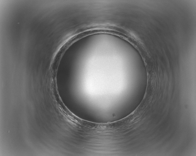 X0000060561360200511171554