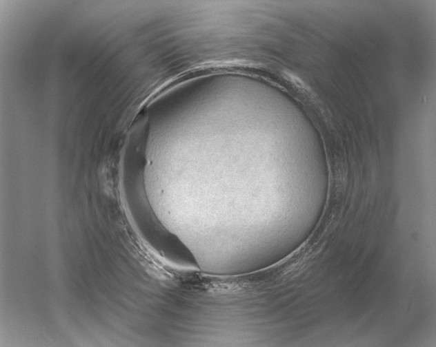 X0000060561361200511171554