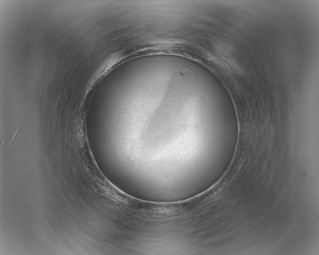 X0000060561362200511171554