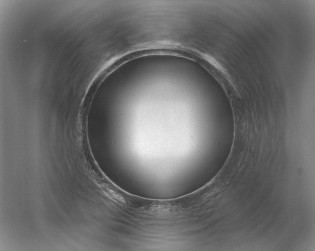 X0000060561364200511171554