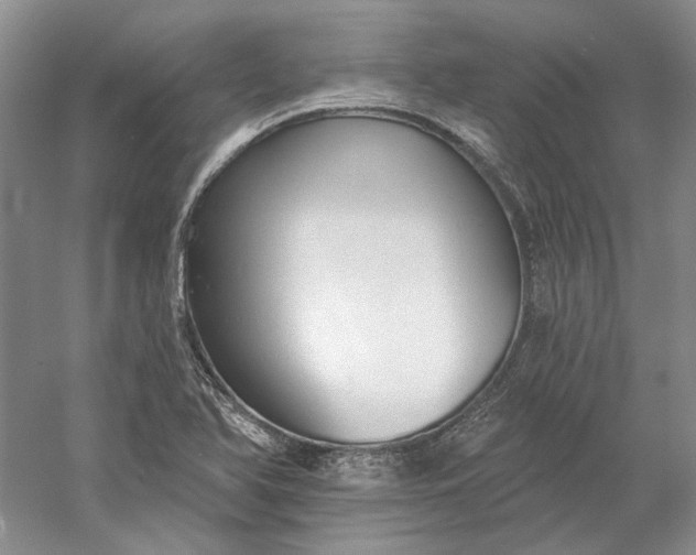 X0000060561366200511171554