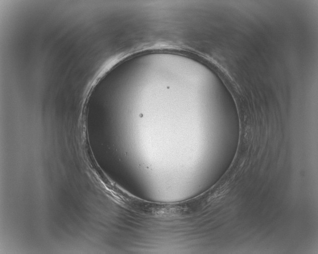 X0000060561367200511171554