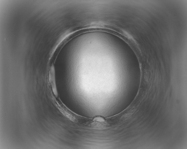 X0000060561368200511171554