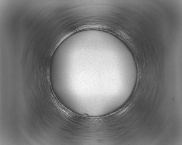 X0000060561369200511171554