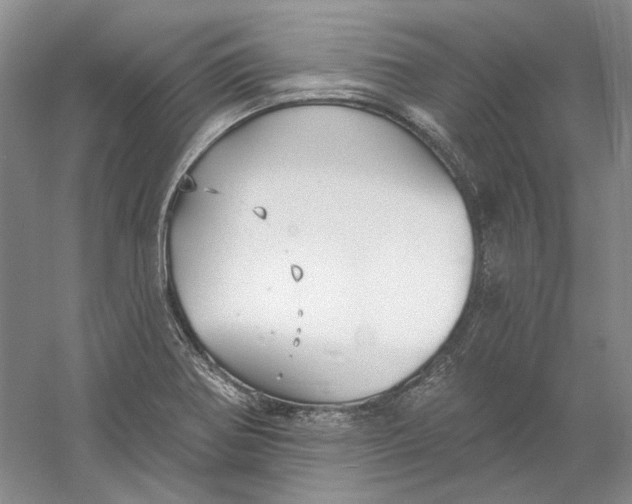 X0000060561370200511171554