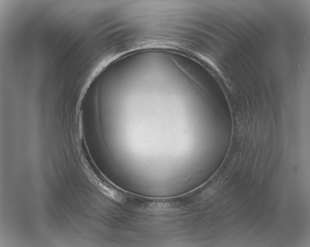 X0000060561371200511171554