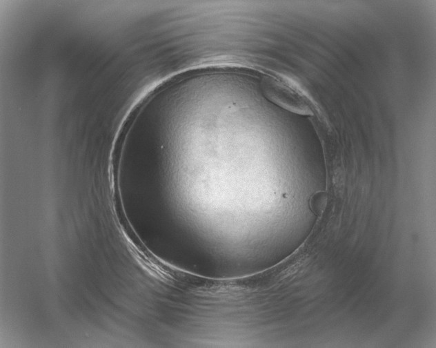 X0000060561372200511171554