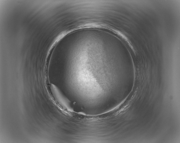 X0000060561373200511171554