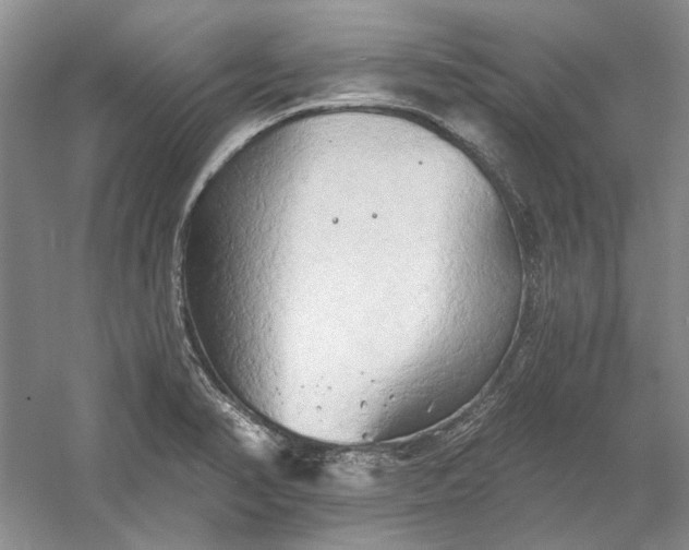 X0000060561374200511171554