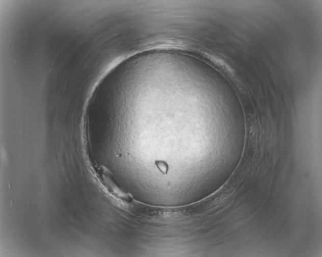 X0000060561375200511171554