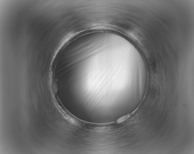 X0000060561376200511171554