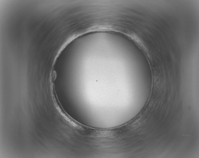 X0000060561382200511171554