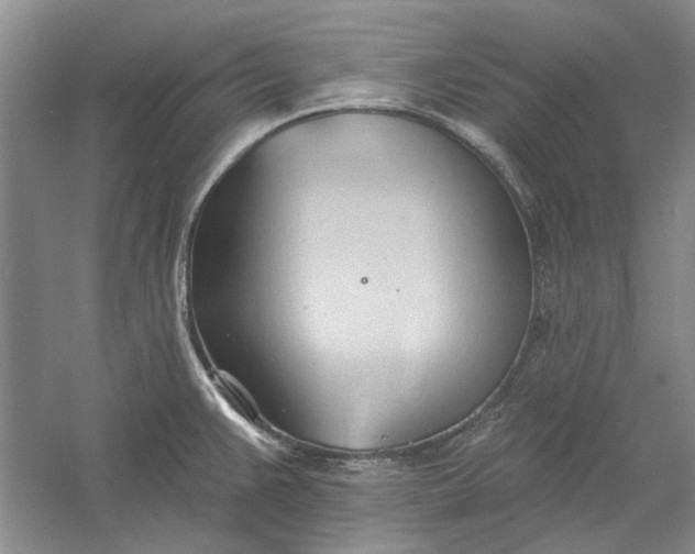 X0000060561383200511171554