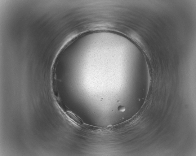 X0000060561384200511171554