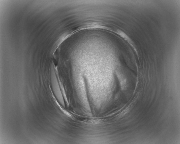 X0000060561385200511171554